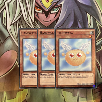 AP05-EN016 x3 Hanewata Common Excellent Condition Yugioh