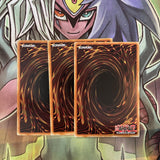 AP05-EN016 x3 Hanewata Common Excellent Condition Yugioh