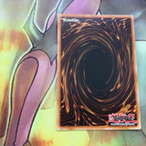 BLRR-EN041 Secret Rare Hibernation Dragon 1st Edition Yugioh