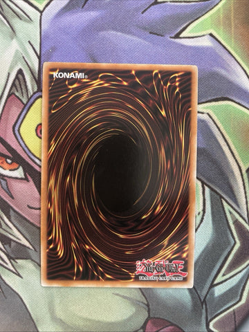 GLD2-EN029 Test Tiger Gold Rare Limited Edition NM Yugioh Card (back)
