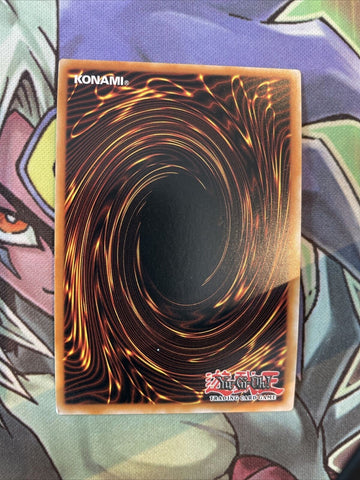 TOCH-EN001 Toon Black Luster Soldier Unlimited Edition NM Yugioh Card (back)