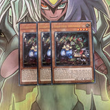 MAGO-EN075 x3 Traptrix Dionaea Rare Excellent Condition Yugioh