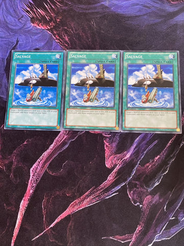 SDRE-EN030 3x Salvage - Yugioh! - 1st Ed. Common - Good Condition