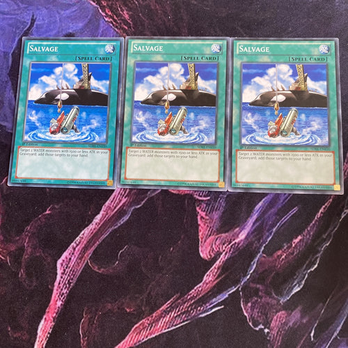 SDRE-EN030 3x Salvage - Yugioh! - 1st Ed. Common - Good Condition