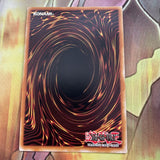 DRL3-EN024 Number 51: Finisher The Strong Arm Secret Rare 1st Ed Yugioh Card NM
