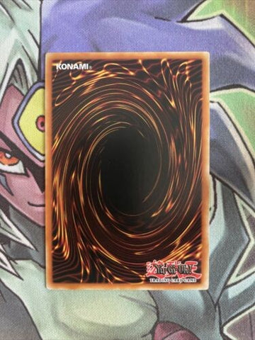 SS02-ENC14 Amazoness Heirloom Common 1st Edition NM Yugioh Card (back)