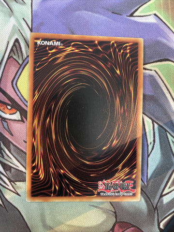 TDIL-EN046 Nirvana High Paladin Secret Rare 1st Edition NM Yugioh Card (back)
