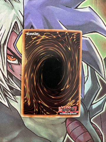 PGD-067 Gravekeeper's Assailant Common 1st Edition NM Yugioh Card (back)