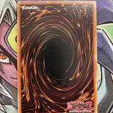 OP17-EN016 Dark Simorgh Common UNL Edition Near Mint Condition Yugioh Card