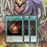 AP01-EN021 x3 Closed Forest Common Excellent Condition Yugioh
