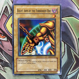 DB1-EN137 Right Arm Of The Forbidden One Common Unlimited Edition NM Yugioh Card