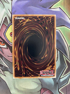 DB1-EN137 Right Arm Of The Forbidden One Common Unlimited Edition NM Yugioh Card (back)
