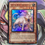 RYMP-EN041 Crystal Beast Amethyst Cat Super Rare 1st Edition NM Yugioh Card