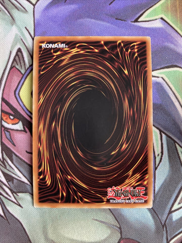 RYMP-EN041 Crystal Beast Amethyst Cat Super Rare 1st Edition NM Yugioh Card (back)