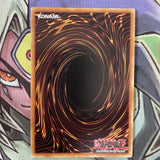 SECE-EN064 A Wild Monster Appears! Secret Rare 1st Edition NM Yugioh Card