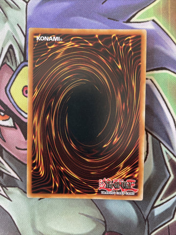DRL3-EN041 Legendary Knight Timaeus Ultra Rare 1st Edition NM Yugioh Card (back)
