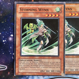EOJ-EN029 x3 Storming Wynn Common Playset Yugioh