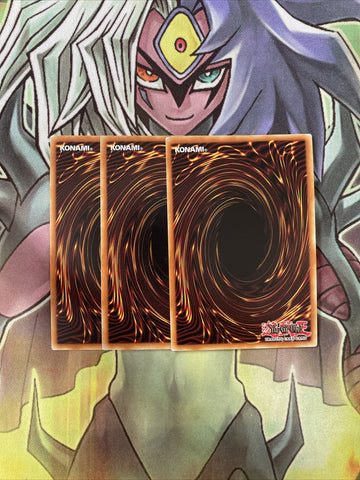 CT10-EN008 x3 Brotherhood of the Fire Fist - Bear Super Excellent Cond Yugioh (back)