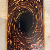 YUGIOH - x1 Fishborg Blaster - (Common - Unl Ed - ANPR-EN027) - Mod Play