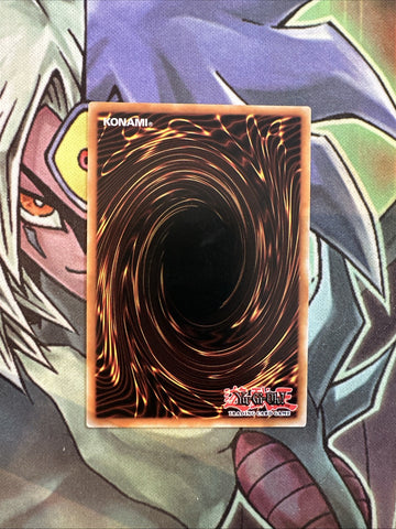 OP13-EN018 Ultimaya Tzolkin Common Unlimited Edition NM Yugioh Card (back)