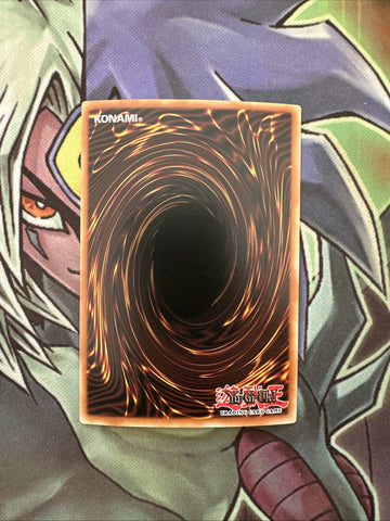 MRL-E110 Hane-Hane Common 1st Edition NM Yugioh Card (back)