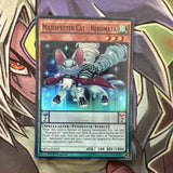 MP16-EN125 Majespecter Cat - Nekomata Super Rare 1st Edition NM Yugioh Card