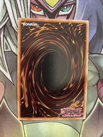 DOCS-EN026 Majespecter Racoon - Bunbuku Ultra Rare 1st Edition NM Yugioh Card (back)