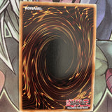DOCS-EN026 Majespecter Racoon - Bunbuku Ultra Rare 1st Edition NM Yugioh Card