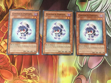 TAEV-EN007 Yugioh 3x Chrysalis Pantail (NM)