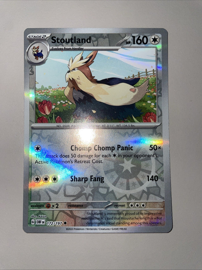 Pokemon Card Stoutland MISPRINT HOLO + REVERSE In ONE Obsidian Flames Near Mint
