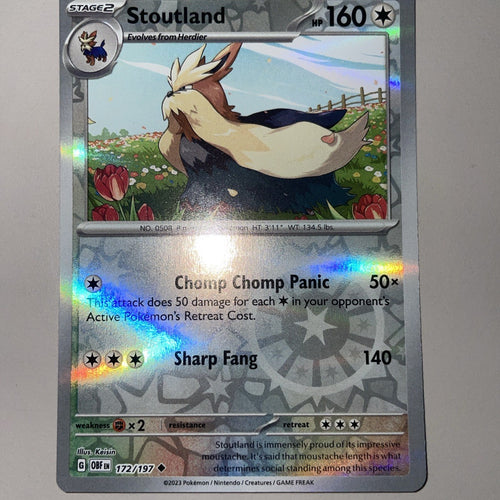 Pokemon Card Stoutland MISPRINT HOLO + REVERSE In ONE Obsidian Flames Near Mint