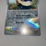 Pokemon Card Stoutland MISPRINT HOLO + REVERSE In ONE Obsidian Flames Near Mint