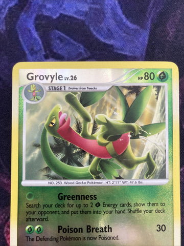 Pokemon Card Grovyle Great Encounters Reverse Holo 40/106 Near Mint (back)