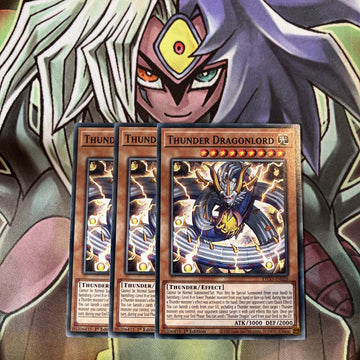 ETCO-EN025 x3 Thunder Dragonlord Common Excellent Condition Yugioh