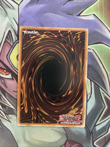 EXFO-EN074 Ghostrick Renovation Common 1st Edition NM Yugioh Card (back)