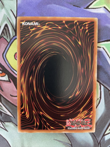 LEDD-EN019 Chimeratech Rampage Dragon Common 1st Edition Near Mint Yugioh Card (back)