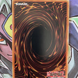 LEDD-EN019 Chimeratech Rampage Dragon Common 1st Edition Near Mint Yugioh Card