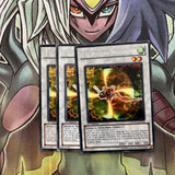 EXVC-EN039 x3 T.G. Recipro Dragonfly Rare Excellent Condition Yugioh