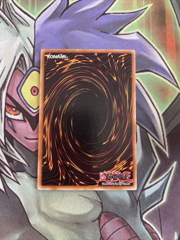DB2-EN207 King Tiger Wanghu Common UNL Edition NM Yugioh Card (back)