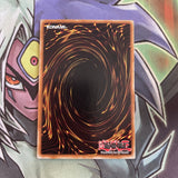 DB2-EN207 King Tiger Wanghu Common UNL Edition NM Yugioh Card