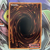 DUPO-EN076 Ghost Reaper & Winter Cherries Ultra Rare 1st Edition NM Yugioh Card