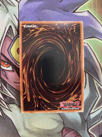 ANGU-EN010 Ogdoadic Water Lily Super Rare 1st Edition NM Yugioh Card (back)