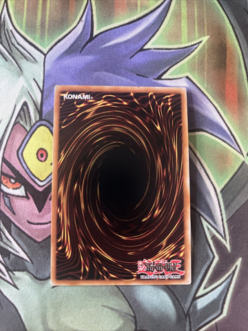 MP19-EN111 Wee Witch's Apprentice Rare 1st Edition NM Yugioh Card (back)