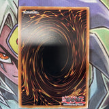 CYHO-EN049 Wee Witch's Apprentice Super Rare 1st Edition NM Yugioh Card