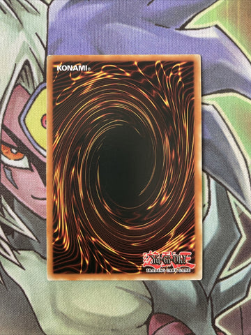 DEM6-EN009 Baby Dragon Common Unlimited Edition NM Yugioh Card (back)