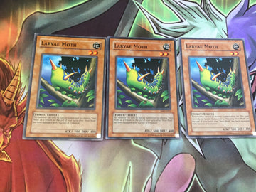 DB1-EN144 Yugioh Larve Moth NM/MINT 3X Common - Dark Beginning