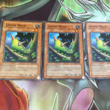 DB1-EN144 Yugioh Larve Moth NM/MINT 3X Common - Dark Beginning