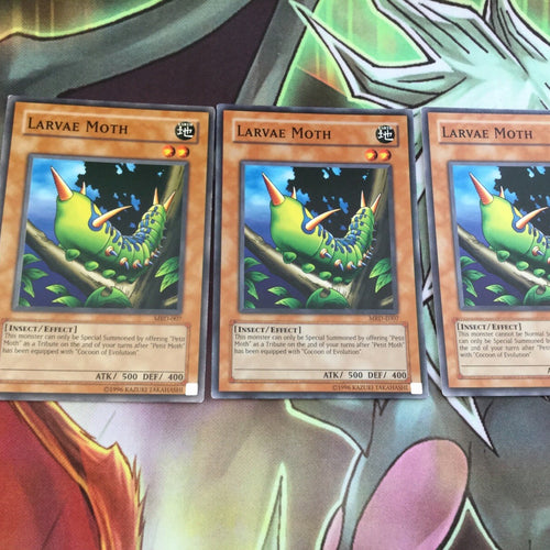 DB1-EN144 Yugioh Larve Moth NM/MINT 3X Common - Dark Beginning