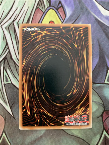 MP22-EN195 Floowandereeze & Eglen Rare 1st Edition NM Yugioh Card (back)