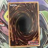GENF-EN087 Fish and Swamps Rare 1st Edition NM Yugioh Card